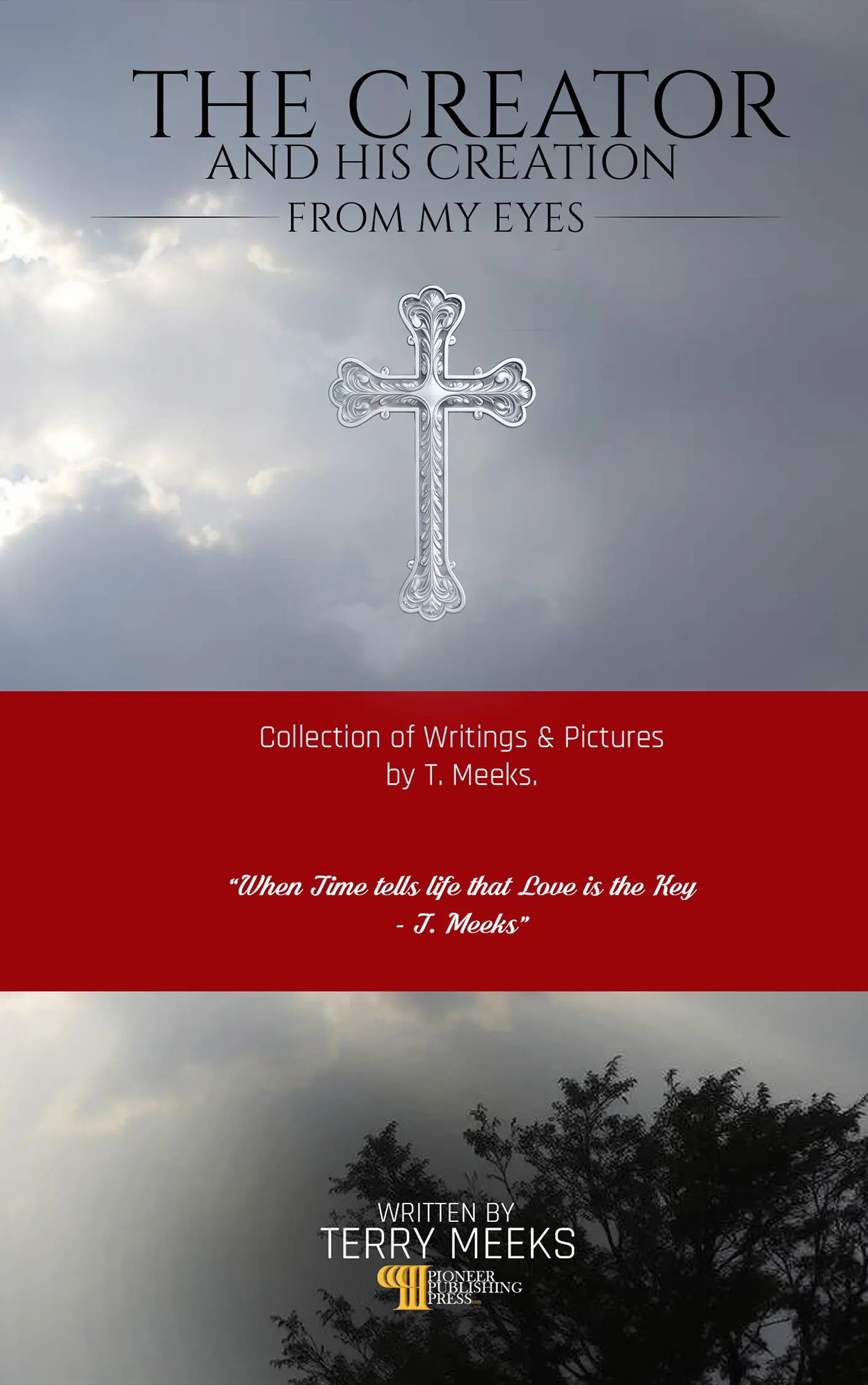 The Creator And His Creation From My Eyes By Terry Meeks published by Pioneer Publishing Press