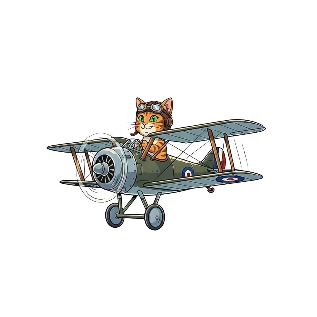 Custom Illustration Services